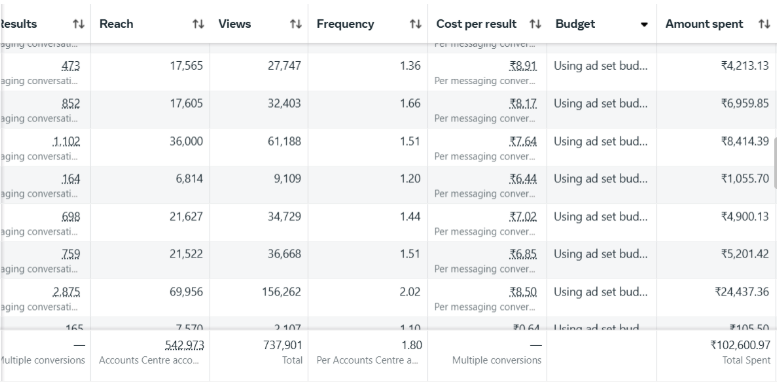 Campaign results showing high revenue and low lead cost
